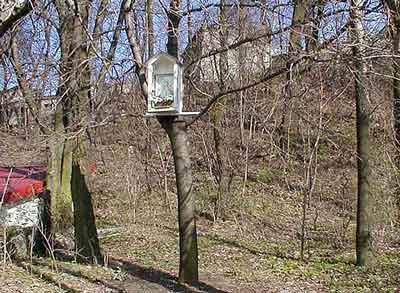 Kapliczka przydro�na (1)