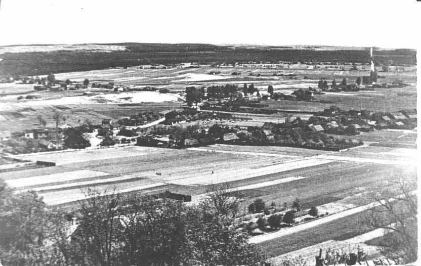 Kolonie Laski, Piaski i Babia-�awa w 1943