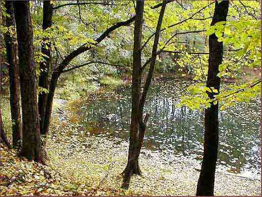 04_jesienny_urok_stawu