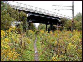 �cie�ka na Jamki pod wiaduktem